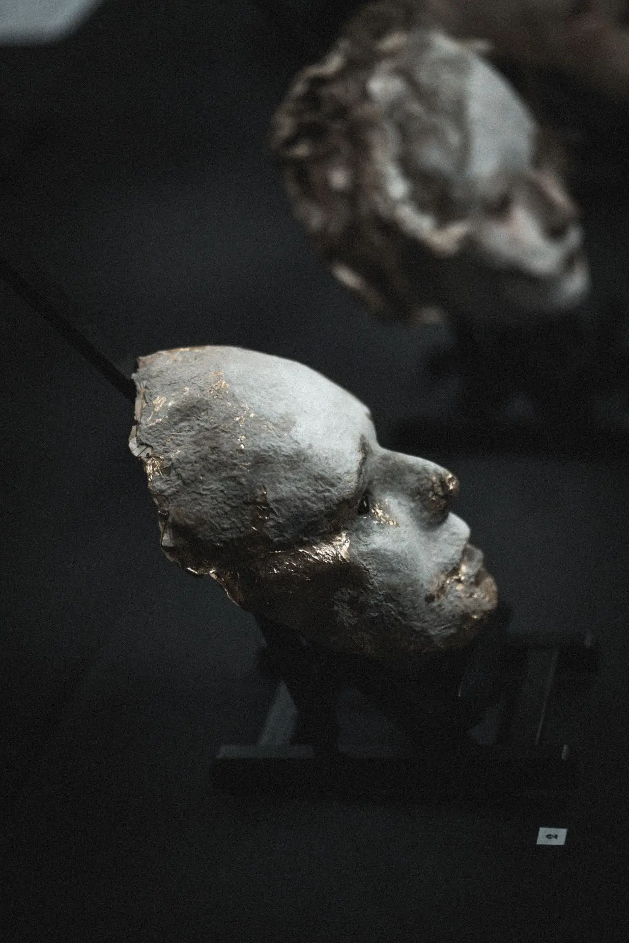 Œuvres de Pamela is Dead