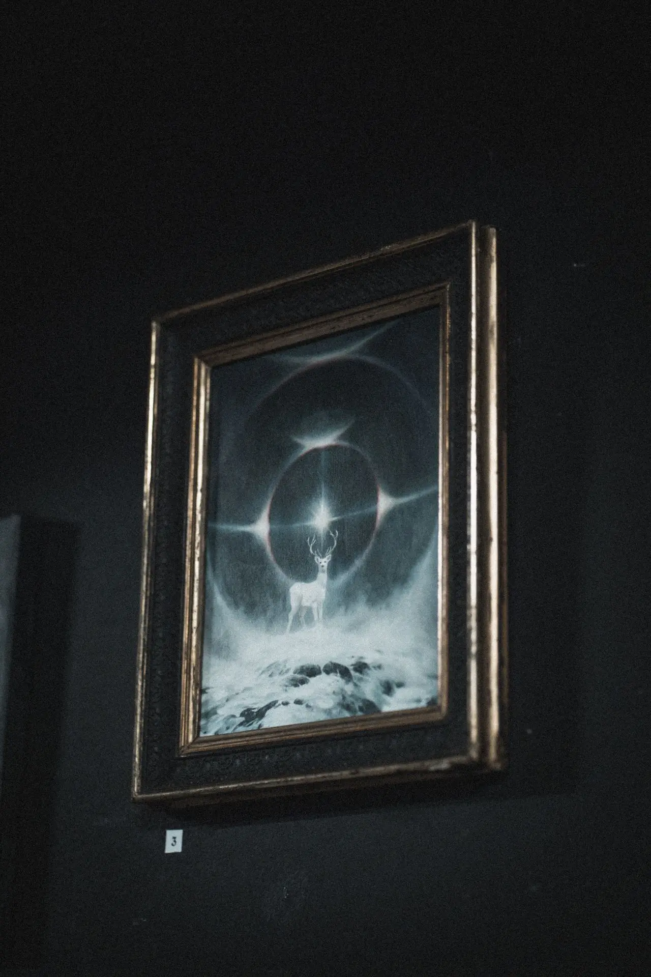 Œuvres de Maéna Paillet