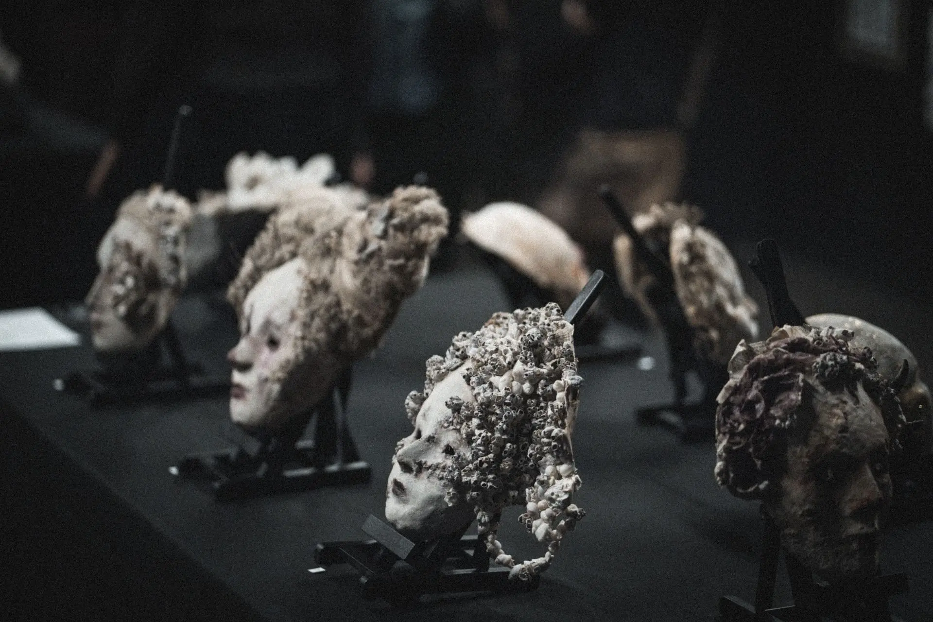 Œuvres de Pamela is Dead