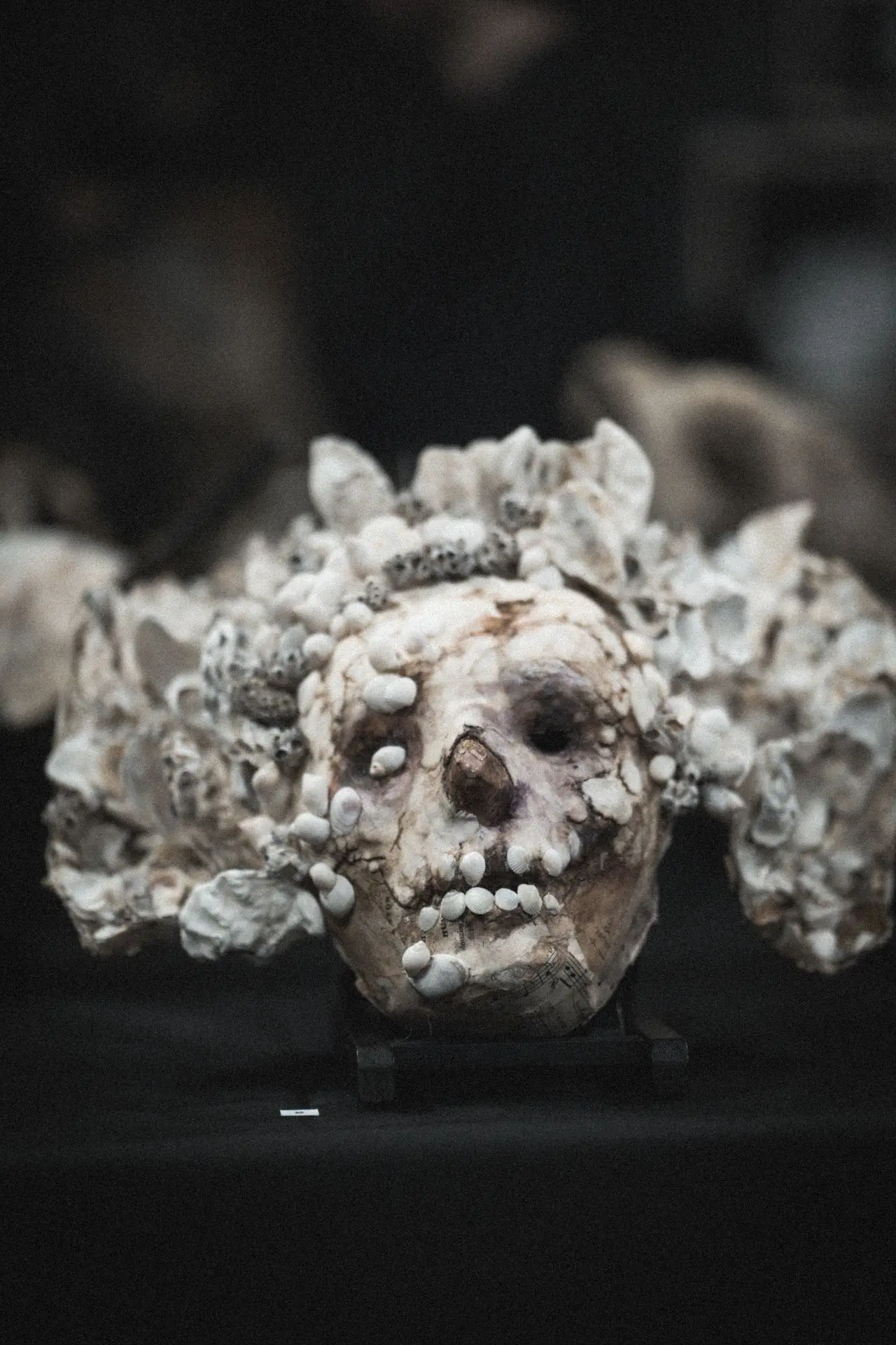 Œuvres de Pamela is Dead