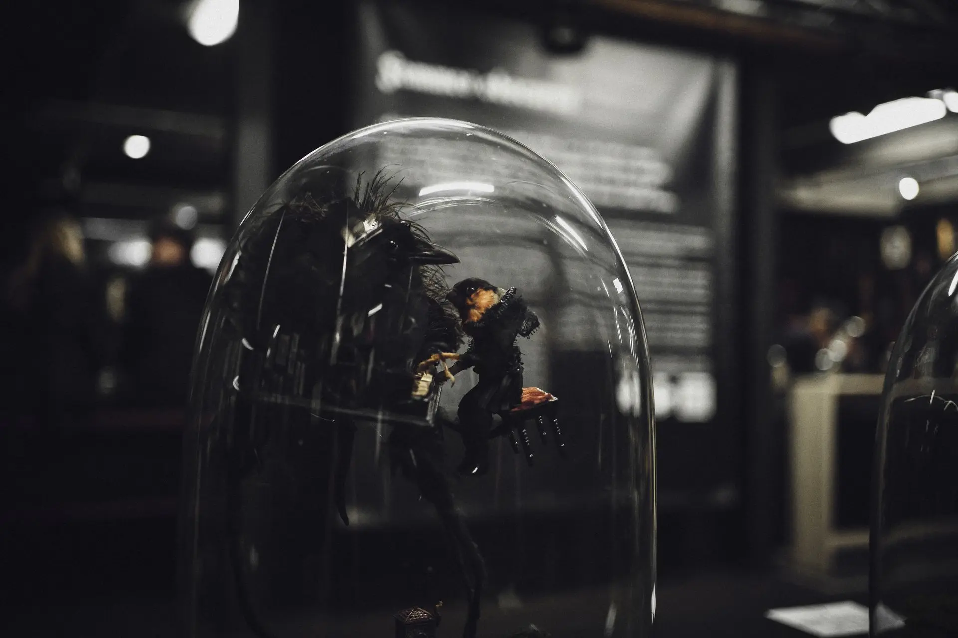 Œuvres de Lucide de Syracuse