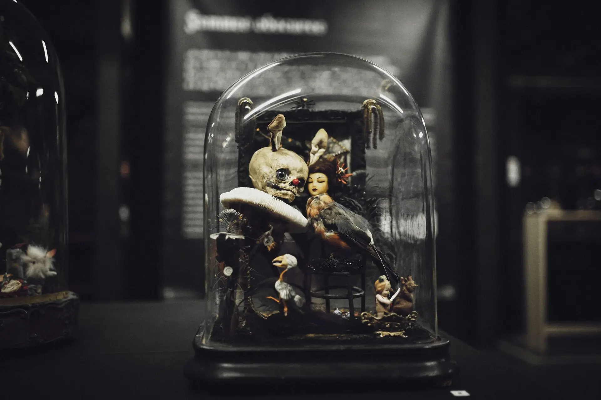 Œuvres de Lucide de Syracuse